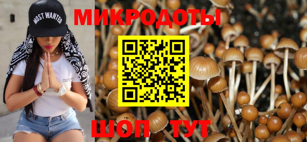 Псилоцибиновые грибы Magic Shrooms  Вход с VPN  Прохладный  Псилоцибиновые грибы GOLDEN TEACHER 